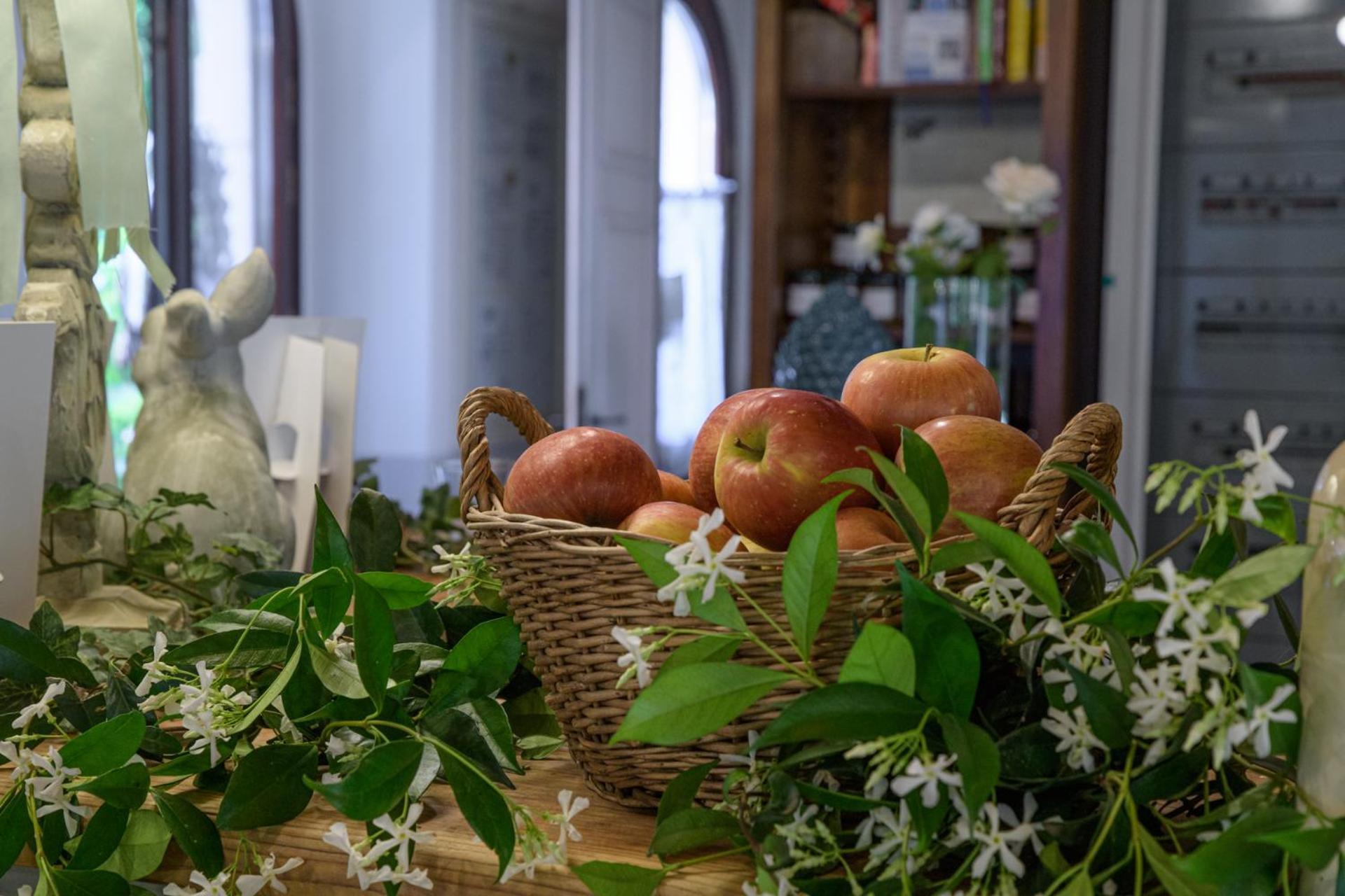 Agriturismo Corte Morandini Валеджо сул Минчио Екстериор снимка